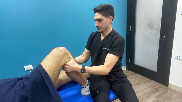 Anatomy of the anterior cruciate ligament (ACL) in the knee joint